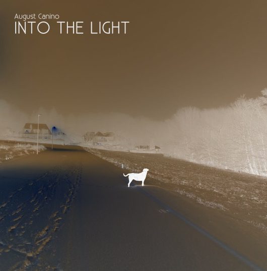 Into the light_Cover2