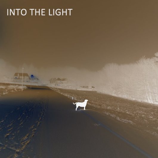 Into the light_cover
